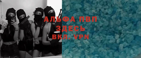 гашик Алексеевка