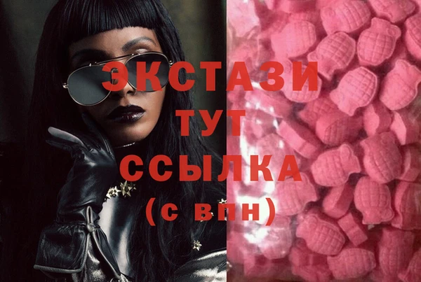 гашик Алексеевка