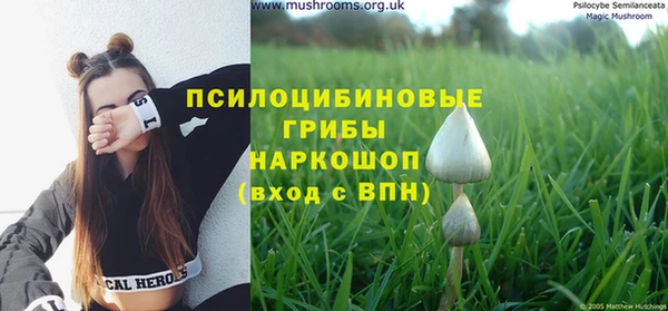 гашик Алексеевка